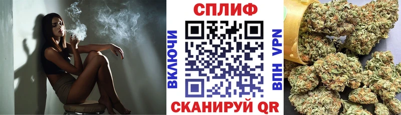 Где можно купить наркотики Гатчина ГАШИШ  Конопля  МЕТАМФЕТАМИН  Меф 